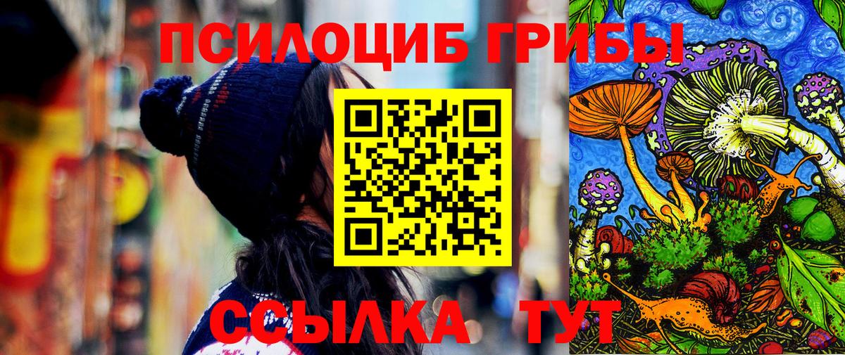 Галлюциногенные грибы Psilocybine cubensis Камышлов